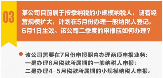 圖解丨不動產轉讓，納稅期限選擇……小規模納稅人申報熱點一圖get