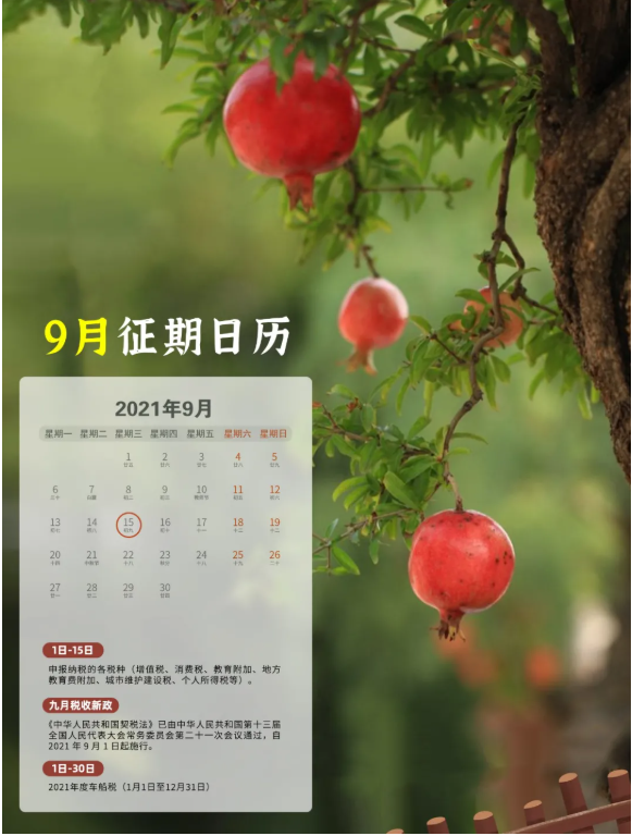 九月征期日歷來啦！！！